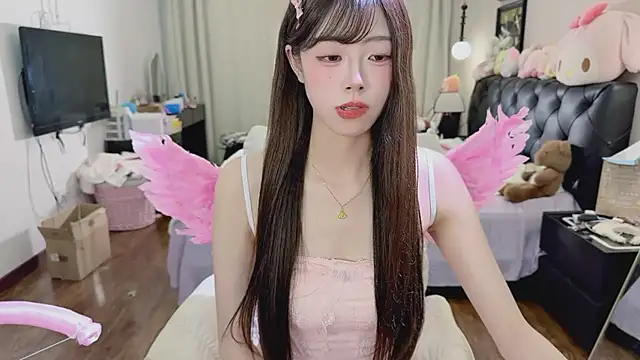Evacute-top 웹캠 쇼
