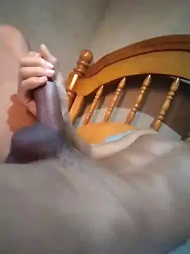 novin021rj0n Webbikameraesitys