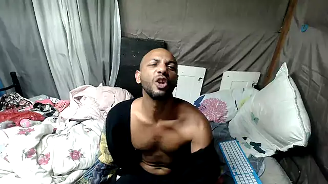 Camodick 网络视讯表演