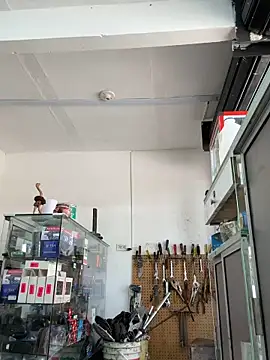 Paul22cm- webkamerás műsora