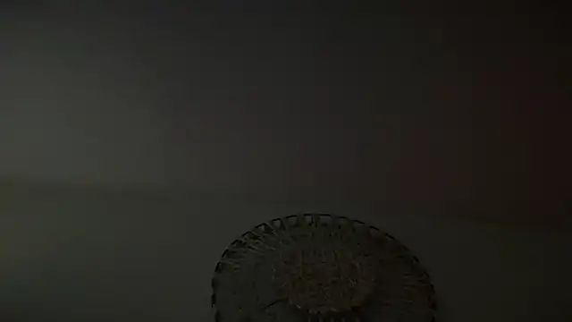 Pertunjukan Kamera Web KungFuPanda001