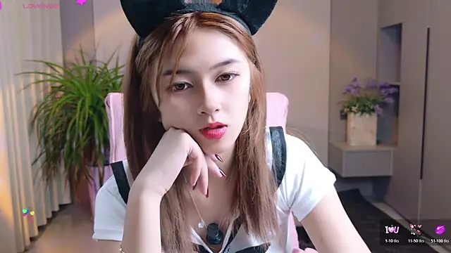 โชว์เว็บแคมของ DoDo-2026
