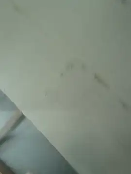 sacptjock83 在線直播表演