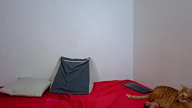 Nikki__uwu's Live XXX Chat