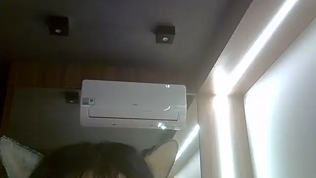Show de webcam de SkinnyKitten
