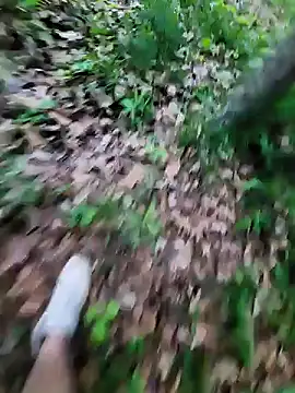 Živý XXX chat SophiaXJohn
