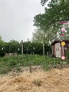 Pokazy przed kamerką – skarrrlettt