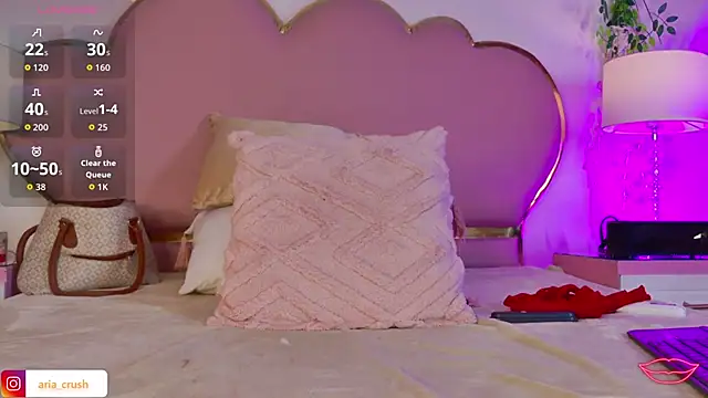 غرفة دردشة AriaCush المباشرة