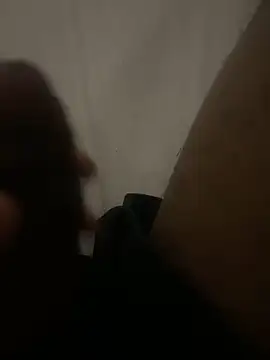 ARMate9 Webcam Show
