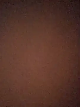 Dalton2288 Webcam show