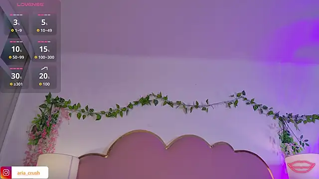 AriaCush Live XXX Chat