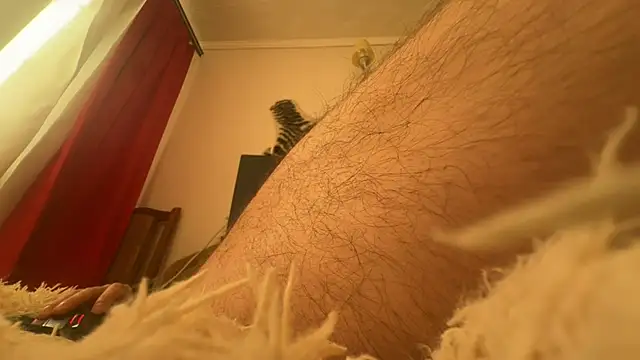 Chat XXX ao vivo de Strigonok