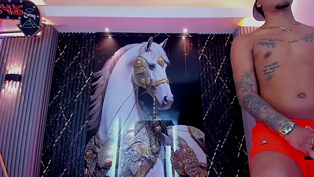the_knights_of_the_night_ Show Webcam