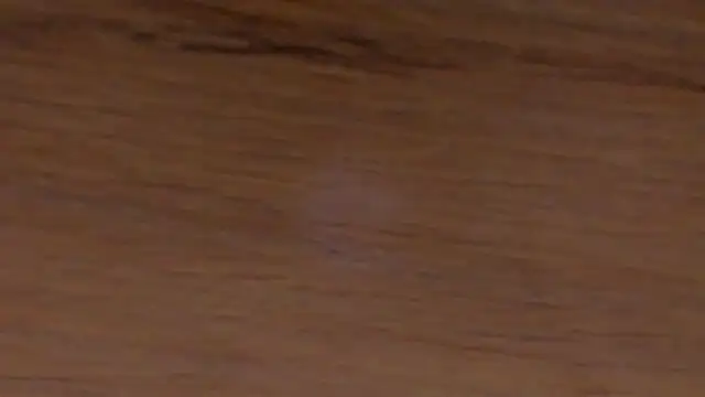 Dante_Blake1's Live XXX Chat