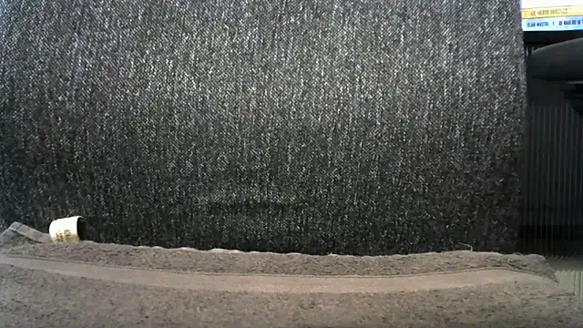 Show webcam de samoncando