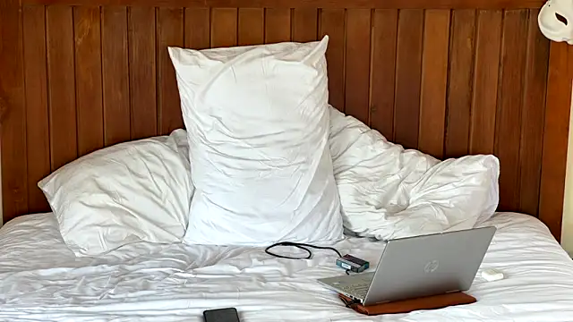 mrmaxiy Pertunjukan Webcam