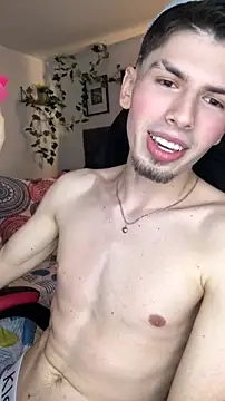 JarbinParkern Webbikameraesitys