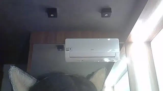 Show de webcam de SkinnyKitten