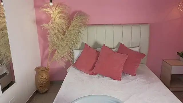 ryan_valentinon Webbikameraesitys