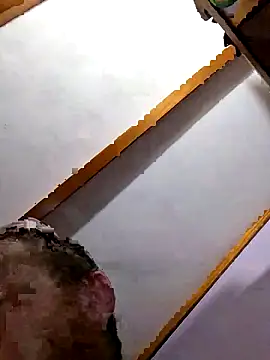 Show Webcam de bam420bam
