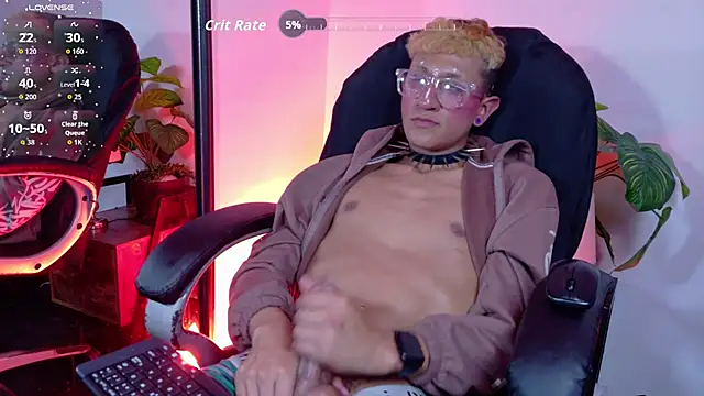 Damm_coren Webbikameraesitys