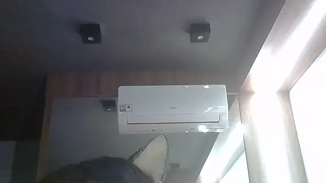 SkinnyKitten's Live XXX Chat