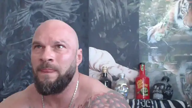 Chat XXX Live viking_30