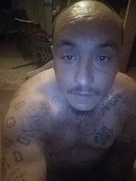 Dick4yourholes: διαδικτυακό σόου στην κάμερα
