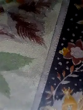 عرض كام Floriwe
