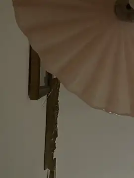 4n4l1zz4m1 라이브 XXX 채팅