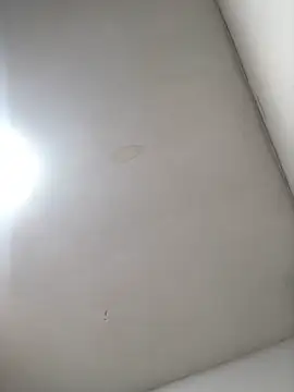 Elsecretodebrunosoyn Live XXX chat