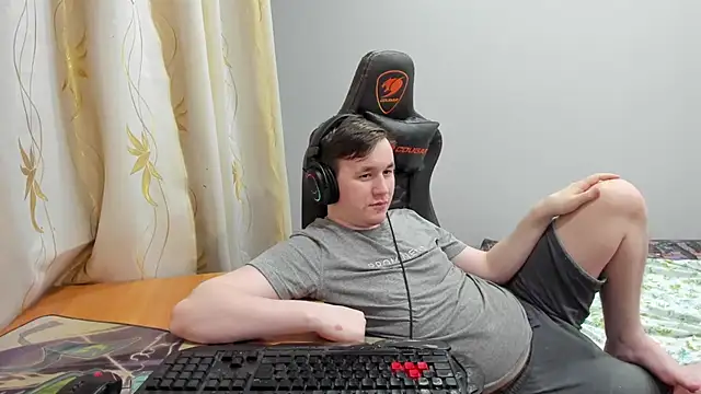 iliaskrisloven Webbikameraesitys