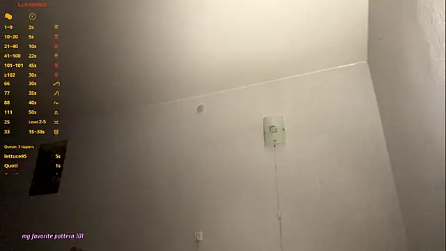 Mikytiki Pertunjukan Webcam
