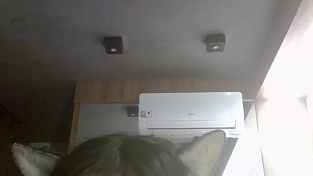SkinnyKitten webcam show