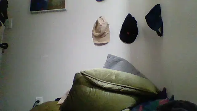 Show webcam de MrCleangreyxtc