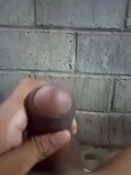 Pertunjukan Kamera Web ga213333