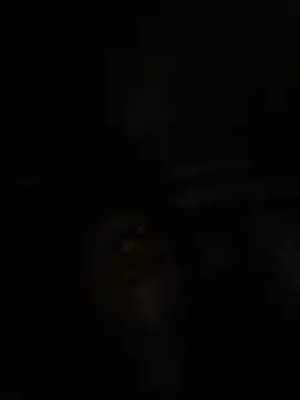 chubbycock7768 Show Webcam
