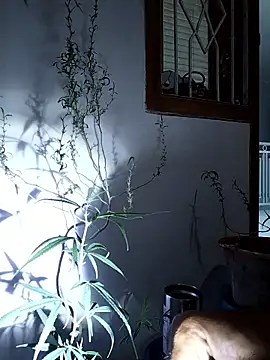 Dwirosebig 라이브 XXX 채팅