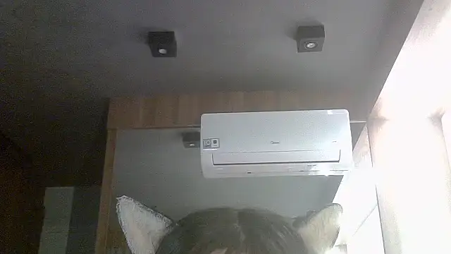Show de webcam de SkinnyKitten