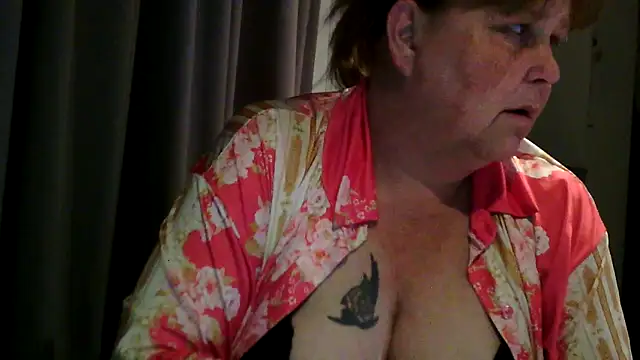 Sylviastar46n Webbikameraesitys