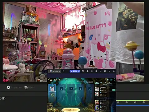 JesuAdamのウェブカメラショー