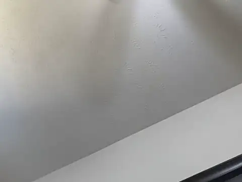 Živý XXX chat Barrentine88