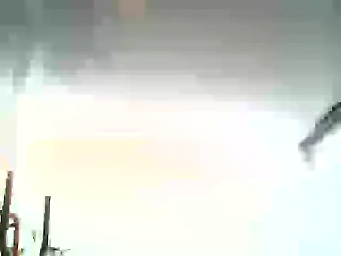 mellow_smoke 라이브 XXX 채팅