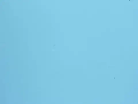 ElaVictoria Live XXX Chat