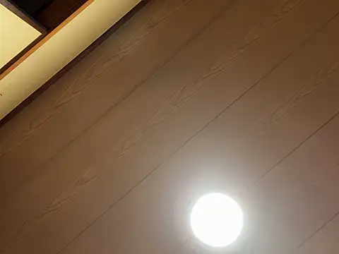 SaneService9 Show Webcam