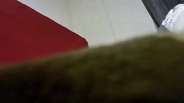 barebearstudio Show in webcam