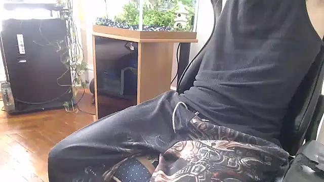 Show Webcam de EspanolVato