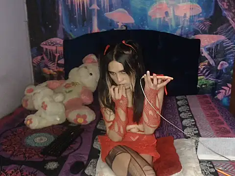 12_zasha_18n Webbikameraesitys
