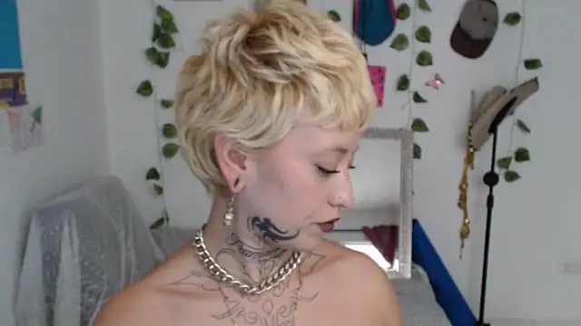 Chat +18 de seley222 ao vivo