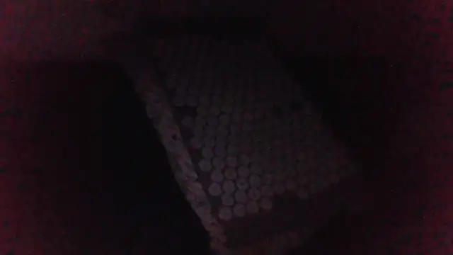 KaelNox 现场XXX聊天